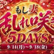 ヒメ日記 2026/09/16 18:01 投稿 いあん もしも素敵な妻が指輪をはずしたら・・・