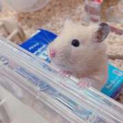 ヒメ日記 2025/05/13 15:56 投稿 すばる あるまぎ！