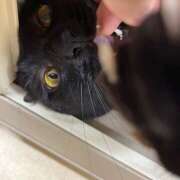 ヒメ日記 2025/06/22 12:08 投稿 すばる あるまぎ！