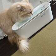 ヒメ日記 2025/07/29 11:58 投稿 すばる あるまぎ！