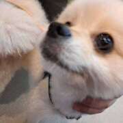 ヒメ日記 2025/10/13 15:29 投稿 すばる あるまぎ！