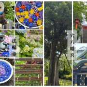 ヒメ日記 2025/06/05 14:04 投稿 黒川 かすみ 千葉Grand Mrs.
