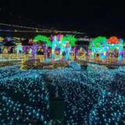 ヒメ日記 2026/01/24 11:21 投稿 きぬ ドキドキＮＴＲ寝取られ生電話