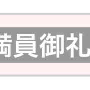 ヒメ日記 2025/05/05 01:25 投稿 ふじ シェリーエンジェル