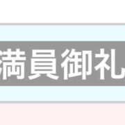 ヒメ日記 2025/05/11 02:13 投稿 ふじ シェリーエンジェル