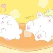 ヒメ日記 2025/05/27 17:50 投稿 ふじ シェリーエンジェル