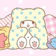 ヒメ日記 2025/05/28 19:14 投稿 ふじ シェリーエンジェル