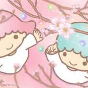 ヒメ日記 2025/06/07 19:17 投稿 ふじ シェリーエンジェル