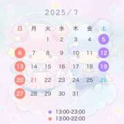 ヒメ日記 2025/06/30 13:00 投稿 ふじ シェリーエンジェル