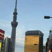 ヒメ日記 2025/07/28 08:01 投稿 ふじ シェリーエンジェル