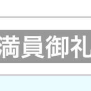 ヒメ日記 2025/08/02 01:56 投稿 ふじ シェリーエンジェル