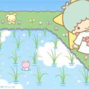 ヒメ日記 2025/08/03 00:46 投稿 ふじ シェリーエンジェル