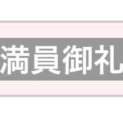 ヒメ日記 2025/08/19 01:14 投稿 ふじ シェリーエンジェル