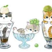 ヒメ日記 2025/08/20 12:20 投稿 ふじ シェリーエンジェル