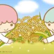 ヒメ日記 2025/09/22 19:51 投稿 ふじ シェリーエンジェル