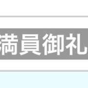 ヒメ日記 2025/10/11 01:44 投稿 ふじ シェリーエンジェル