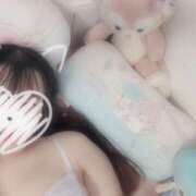 ヒメ日記 2025/10/12 01:54 投稿 ふじ シェリーエンジェル