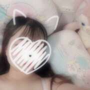 ヒメ日記 2025/11/01 15:06 投稿 ふじ シェリーエンジェル