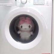 ヒメ日記 2025/11/04 00:29 投稿 ふじ シェリーエンジェル