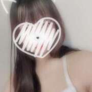 ヒメ日記 2025/11/09 13:02 投稿 ふじ シェリーエンジェル