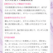ヒメ日記 2025/11/28 19:12 投稿 ふじ シェリーエンジェル