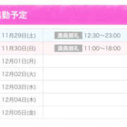 ヒメ日記 2025/11/29 17:52 投稿 ふじ シェリーエンジェル