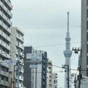 ヒメ日記 2025/12/08 08:16 投稿 ふじ シェリーエンジェル