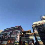 ヒメ日記 2026/01/15 12:52 投稿 ふじ シェリーエンジェル