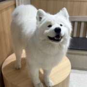 ヒメ日記 2026/02/08 01:25 投稿 ふじ シェリーエンジェル