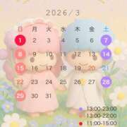 ヒメ日記 2026/02/24 13:57 投稿 ふじ シェリーエンジェル