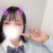 ヒメ日記 2026/03/08 12:00 投稿 ふじ シェリーエンジェル