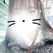 ヒメ日記 2026/03/29 13:00 投稿 ふじ シェリーエンジェル