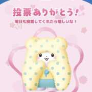 ヒメ日記 2026/04/25 07:31 投稿 ふじ シェリーエンジェル