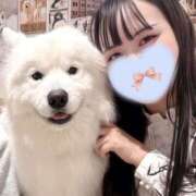 ヒメ日記 2026/04/27 19:28 投稿 ふじ シェリーエンジェル