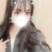 ヒメ日記 2026/06/06 01:20 投稿 ふじ シェリーエンジェル