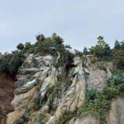 ヒメ日記 2026/08/29 13:11 投稿 ふじ シェリーエンジェル