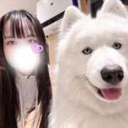 ヒメ日記 2026/09/14 13:31 投稿 ふじ シェリーエンジェル