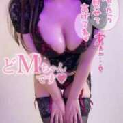 ヒメ日記 2026/05/25 14:54 投稿 かるあ 金瓶梅(きんぺいぱい)(雄琴)