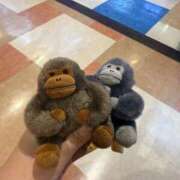 ヒメ日記 2025/10/03 13:23 投稿 ちゅら 浜松駅前ちゃんこ