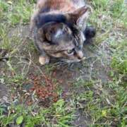 ヒメ日記 2025/07/17 15:40 投稿 けい 久留米デリヘルセンター