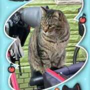 ヒメ日記 2026/01/08 01:20 投稿 ♡おもち♡ 梅田ムチぽよ女学院