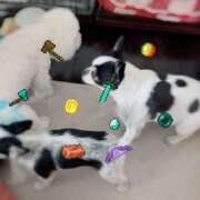 ヒメ日記 2026/01/11 01:50 投稿 ♡おもち♡ 梅田ムチぽよ女学院