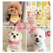 ヒメ日記 2026/01/12 13:50 投稿 ♡おもち♡ 梅田ムチぽよ女学院