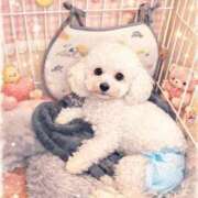 ヒメ日記 2026/01/28 00:40 投稿 ♡おもち♡ 梅田ムチぽよ女学院