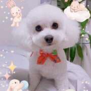 ヒメ日記 2026/02/03 18:50 投稿 ♡おもち♡ 梅田ムチぽよ女学院