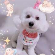 ヒメ日記 2026/03/03 19:10 投稿 ♡おもち♡ 梅田ムチぽよ女学院