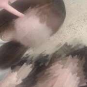 ヒメ日記 2025/09/01 22:59 投稿 アカリ ファーストレディー