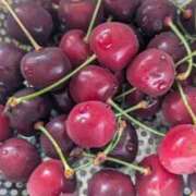 ヒメ日記 2026/06/20 12:20 投稿 さら ビデオdeはんど すすきの校