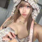 ヒメ日記 2025/07/25 06:57 投稿 こう buzz-B