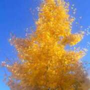 みおん 終わっちゃうね🥲🍁 紳士の嗜み 立川